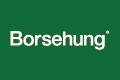 Borsehung