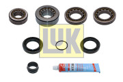 462 0398 10 Opravna sada, diferencial 500133210 Schaeffler LuK