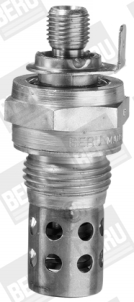 GF163 Žhavicí svíčka BorgWarner (BERU)