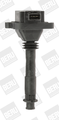 ZS310 Zapalovací cívka BorgWarner (BERU)