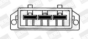 LE001 Větrák, chlazení motoru BorgWarner (BERU)