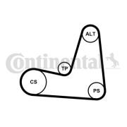 5PK1135K1 Sada žebrovaných klínových řemenů CONTINENTAL CTAM