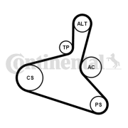 6DPK1195K1 CONTINENTAL CTAM ozubený klinový remeň - sada 6DPK1195K1 CONTINENTAL CTAM