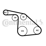 6PK1038K1 Sada žebrovaných klínových řemenů CONTINENTAL CTAM