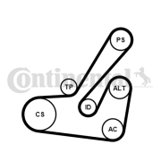 6PK1145K2 Sada žebrovaných klínových řemenů CONTINENTAL CTAM