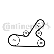 6PK1145K4 Sada žebrovaných klínových řemenů CONTINENTAL CTAM