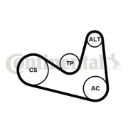 6PK1180K2 Sada žebrovaných klínových řemenů CONTINENTAL CTAM