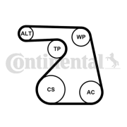 6PK1217WP1 Vodní pumpa + klinový żebrový řemen CONTINENTAL CTAM