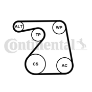 6PK1360K1 Sada žebrovaných klínových řemenů CONTINENTAL CTAM