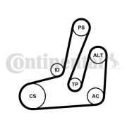 6PK1390K1 CONTINENTAL CTAM ozubený klinový remeň - sada 6PK1390K1 CONTINENTAL CTAM