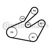 6PK1468K1 Sada žebrovaných klínových řemenů CONTINENTAL CTAM