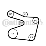 6PK1555WP1 Vodní pumpa + klinový żebrový řemen CONTINENTAL CTAM