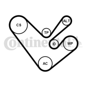 6PK1555K4 CONTINENTAL CTAM ozubený klinový remeň - sada 6PK1555K4 CONTINENTAL CTAM