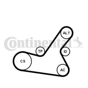 6PK1564K2 CONTINENTAL CTAM ozubený klinový remeň - sada 6PK1564K2 CONTINENTAL CTAM