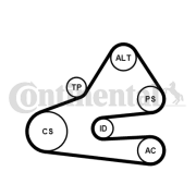 6PK1613K1 Sada žebrovaných klínových řemenů CONTINENTAL CTAM