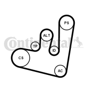 6PK1660K2 Sada žebrovaných klínových řemenů CONTINENTAL CTAM