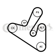 6PK1710K1 Sada žebrovaných klínových řemenů CONTINENTAL CTAM