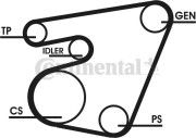 6PK1767D1 Sada žebrovaných klínových řemenů CONTINENTAL CTAM