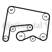 6PK2155K1 Sada žebrovaných klínových řemenů CONTINENTAL CTAM