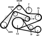6PK2404D2 Sada žebrovaných klínových řemenů CONTINENTAL CTAM