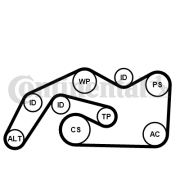 6PK2490K1 Sada žebrovaných klínových řemenů CONTINENTAL CTAM