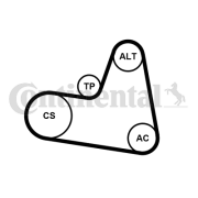 6PK962K1 Sada žebrovaných klínových řemenů CONTINENTAL CTAM