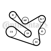 7PK1570K1 Sada žebrovaných klínových řemenů CONTINENTAL CTAM