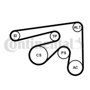 7PK2061K1 Sada žebrovaných klínových řemenů CONTINENTAL CTAM