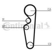 CT729 ozubený řemen CONTINENTAL CTAM