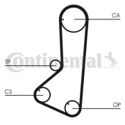 CT802 Ozubený řemen CONTINENTAL CTAM