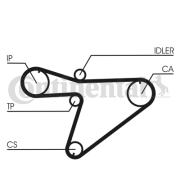 CT810 Ozubený řemen CONTINENTAL CTAM