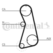 CT869 Ozubený řemen CONTINENTAL CTAM