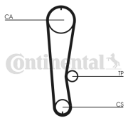 CT936 Ozubený řemen CONTINENTAL CTAM