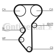 CT955 ozubený řemen CONTINENTAL CTAM