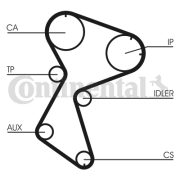 CT966 ozubený řemen CONTINENTAL CTAM