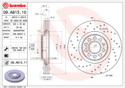 09.A813.11 Brzdový kotouč COATED DISC LINE BREMBO