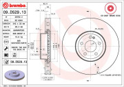 09.D529.13 Brzdový kotouč CO-CAST DISCS LINE BREMBO