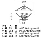 4455.80D Termostat, chladivo BorgWarner (Wahler)