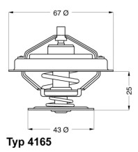 4165.79D Termostat, chladivo BorgWarner (Wahler)