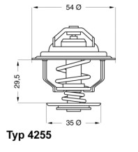 4255.87D Termostat, chladivo BorgWarner (Wahler)