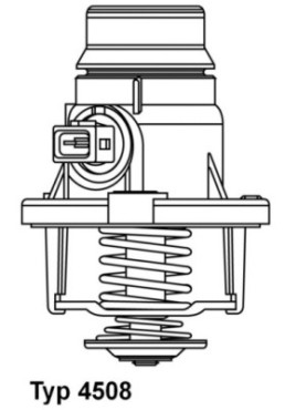 4508.101D Termostat, chladivo BorgWarner (Wahler)