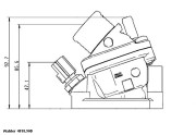 4818.90D Termostat, chladivo BorgWarner (Wahler)