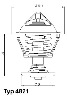 4821.89D Termostat, chladivo BorgWarner (Wahler)