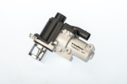 710940D/1 AGR-Ventil BorgWarner (Wahler)