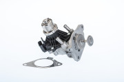 710980R AGR-Ventil BorgWarner (Wahler)