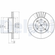 BG2488 Brzdový kotouč DELPHI