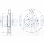 BG4305 Brzdový kotouč DELPHI