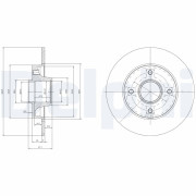 BG9021RSC Brzdový kotouč DELPHI