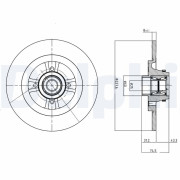 BG9025RSC Brzdový kotouč DELPHI