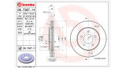 360406020000 Brzdový kotouč MAGNETI MARELLI